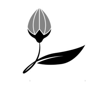 Southern Flower Deliveries - Logo - South Adelaide