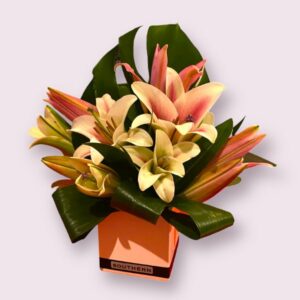 Oriental pink and white lillies presented with tropical foilage in a white cubed vase